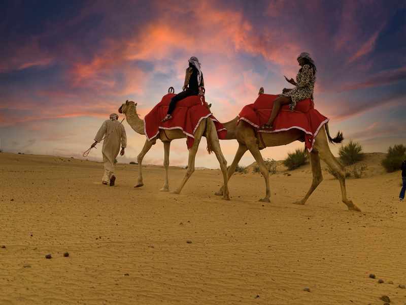 desert safari dubai arabian nights